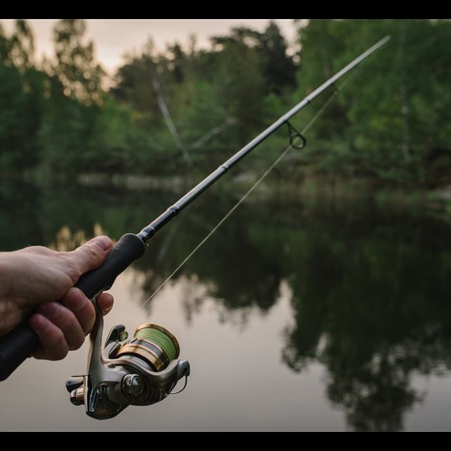 Pesca esportiva