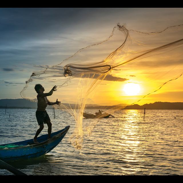 Pesca de tarrafa