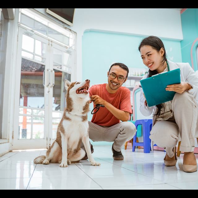Atendimento veterinário