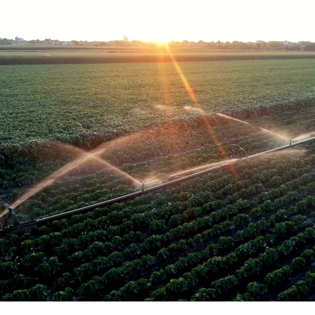 Irrigação ao pôr do sol