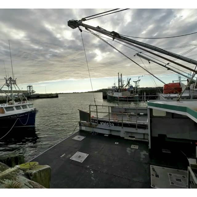 Barcos de pesca