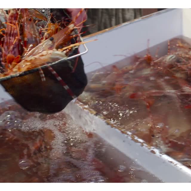 Trato dos peixes